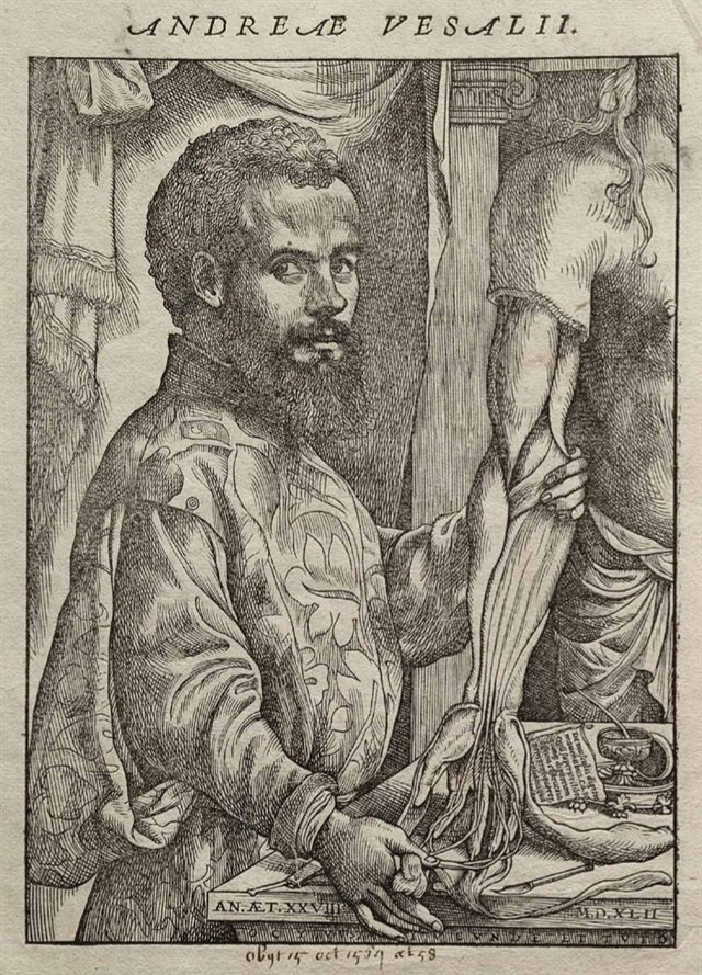 Portrait of Andreas Vesalius