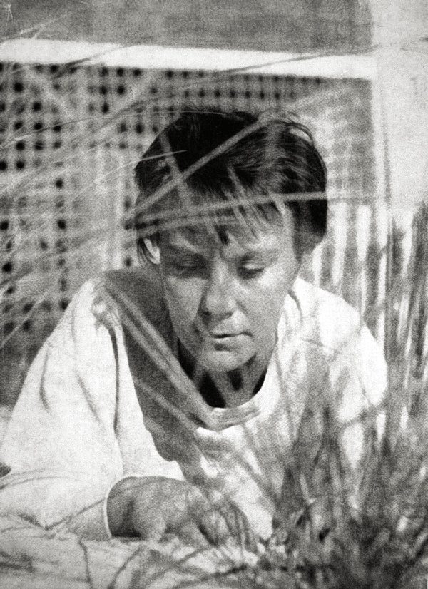 Portrait of Harper Lee